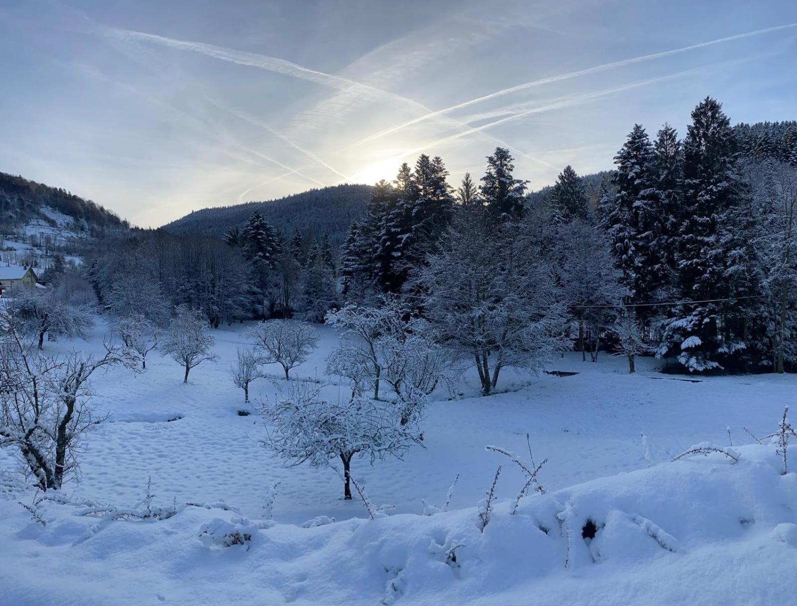 Chalet Notre Retraite Ventron Kültér fotó
