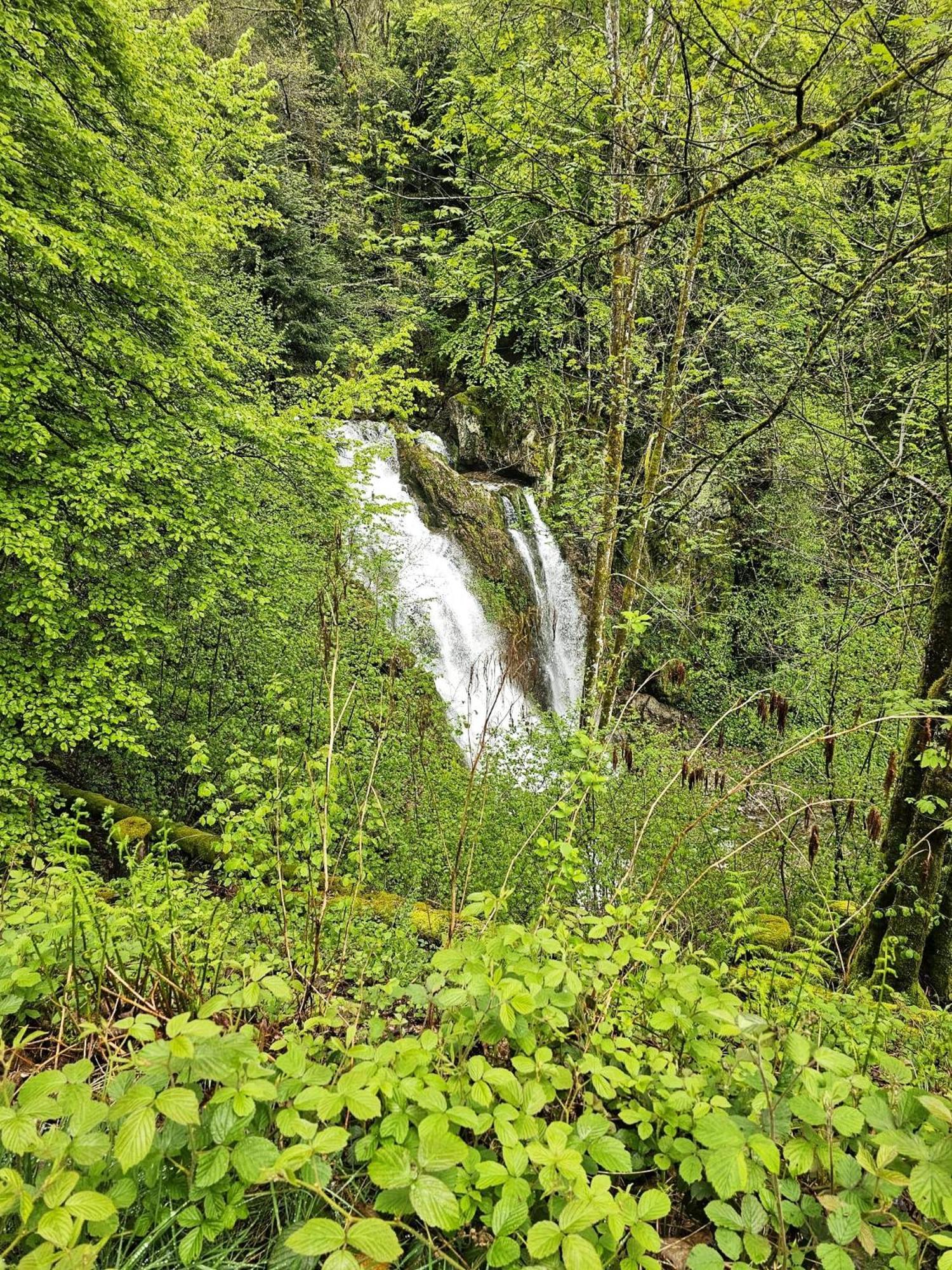 Chalet Notre Retraite Ventron Kültér fotó